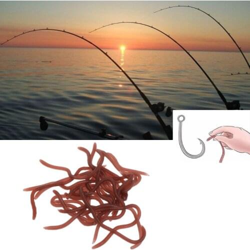 1 Box Fishing Bait Artificial Earthworm Soft Elastic Worms 10cm Trout Lure Smell