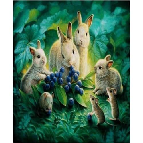 Animals Rabbit Diamond Painting Diamond embroidery Diy Full Diamond Mosaic FH699