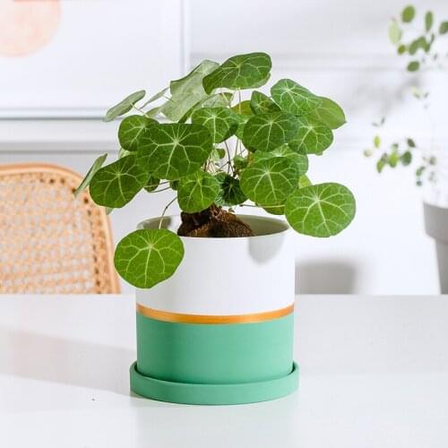 Nordic Splicing Double Color White Flower Pot Ceramic Flower Vase Succulent Planter Green Plants Flowerpot With Tray