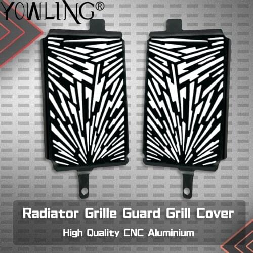 Motorcycle Radiator Guard Protector Grille Grill Cover For BMW R1250GS R 1250 GS Adventure Exclusive Rallye TE 2019 2020 2021