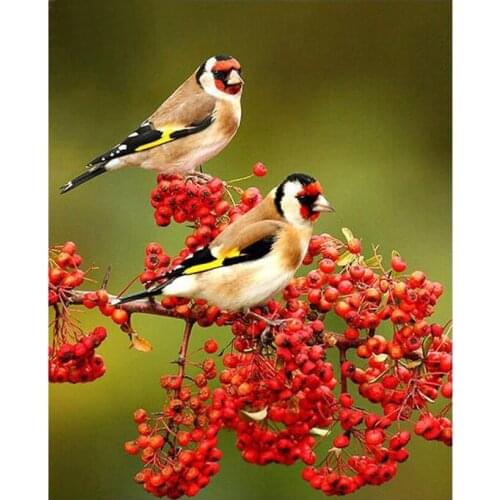 5d Diy Resin Diamond Painting birds Cross Stitch Full Diamond Embroidery Elves Pattern Rhinestone Pasted Mosaic FR285