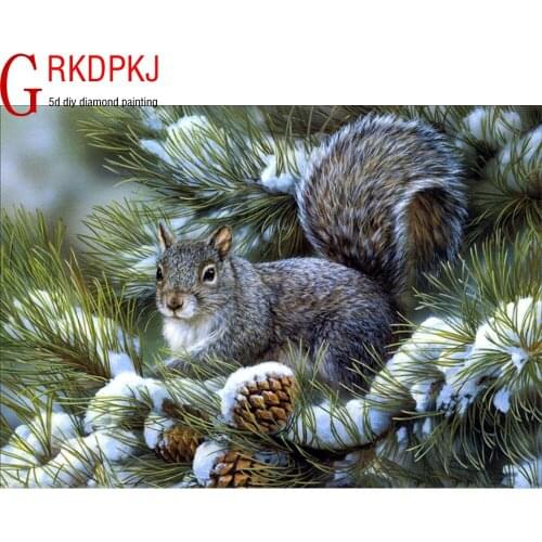 GRKDPKJ 5d diamond painting full diamond square diamond embroidery mosaic cross stitch picture home decoration Animal squirrel