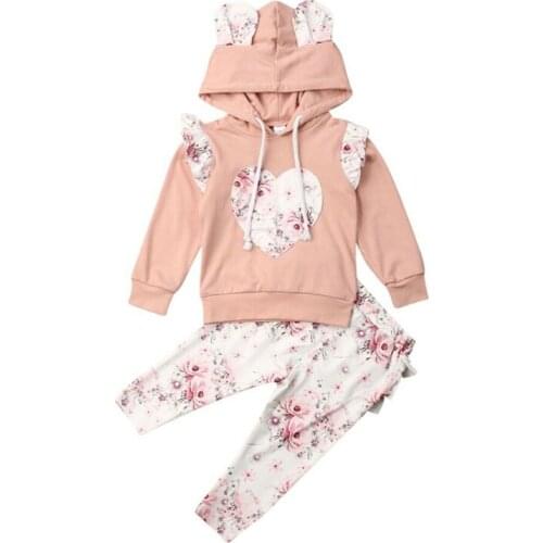 0-24M Baby Girl Tracksuit Hooded Sweatshirt Top Pants Trousers Outfit Clothes Sets