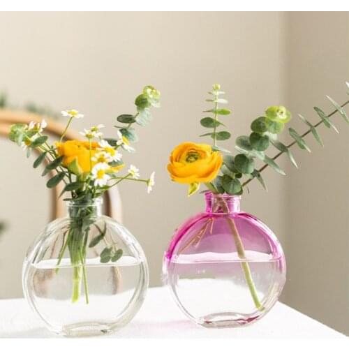 Classic Glass Vase Home Hydroponic Plant Glass Bottle Living Room Decoration Dried Flower Decoration Transparent Flower Vase