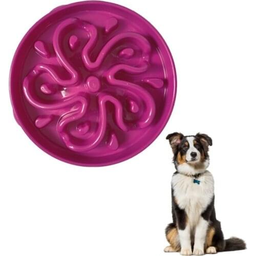 Fun Feeder Slow Bowl Dog Large Regular Non Slip Puzzle Anti Gulping Pet Food Eat Dishes Interactive Bloat Stop Durable Puppy