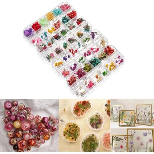 1 Box Real Dried Flower Dry Plants Ammi Majus For UV Epoxy Resin Pendant Necklace Jewelry Making Craft Nail Art Decoration
