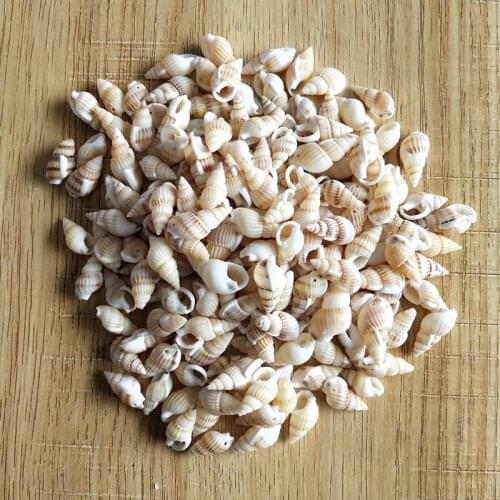 200Pcs Natural Sea Shells Beads with Hole Cowrie Beach Conch DIY Crafts yellow conch holes