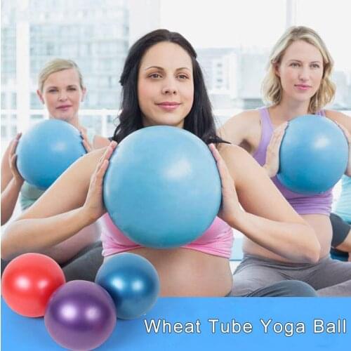 2Pcs 25cm Yoga Ball Physical Fitness Appliance Exercise Balance Wheat Tube Ball for Trainer Balance Gymnastic Yoga Pilates Balls