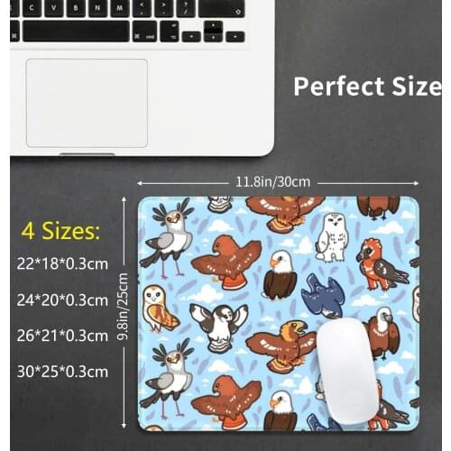 Birbs Of Prey Mouse Pad DIY Print Cushion Bird Birb Borb Raptor Secretary Bird Hawk Eagle