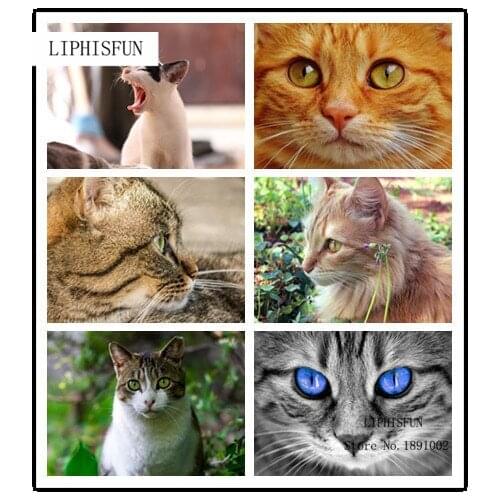 Diy Diamond Painting Full Rhinestone Cross Stitch Home Decoration Square Diamond Embroidery Cat