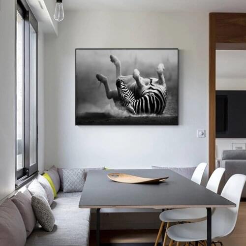 Zebra Wall Art Canvas Prints Modern Animals Canvas Art Paintings On The Wall Black And White Zebra Rolling In The Dust Pictures