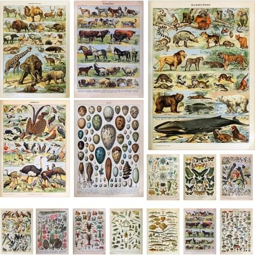 Biological Illustrated Retro Poster Kraft Paper Dinosaur Butterfly Plant Encyclopedia Wall Sticker Poster Picture for Home Decor