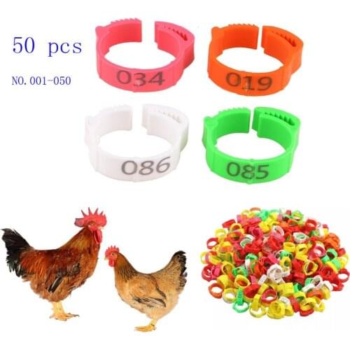 50Pcs Chicken Foot Ring Inner Diameter 2~2 .4cm PoultryRetractable Foot Ring 6 Colors Chick Duck Goose poultryfarm equipment