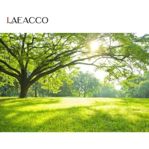 Laeacco Spring Backdrops For Photography Green Grass Old Tree Sunshine Outdoor Scenic Photographic Background For Photo Studio