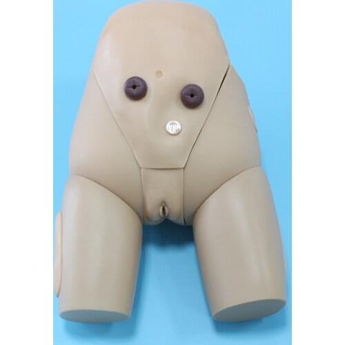 Female Catheterization Training Model，Urethral Catheterization Practice Model，Anatomical Model of Female Genitalia