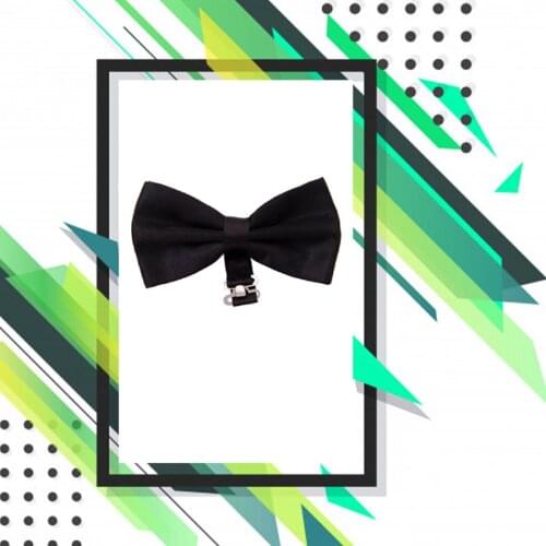 Varetta Male Bow Tie Satin Shiny Fabric Men Bow Tie Colorful Bow Tie Patterned Bow Tie Patterned Purple Bow Tie Blue Color Bow Tie Mens Bow Tie 2020 New Fashion Man Bow Tie mens accessory Man Accessory