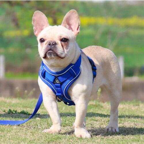 Dog Harness Breathable Leash Suit Cat Vest Pet Puppy Harness Collar Adjustable Leash Pets Accessories Bulldog Chihuahua