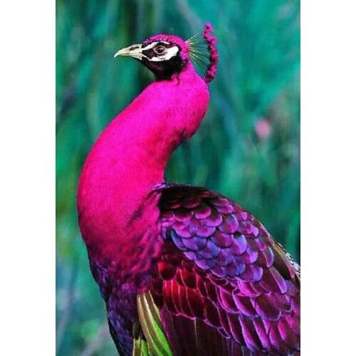 YIKEE diamond painting Peacock,diamond embroidery rhinestones,diamond painting square diamonds K787