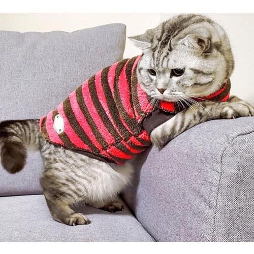 Autumn Winter Warm Striped Two-legged Elastic Bottoming Shirt Pet Dog Clothes Cat Supplies Hoodies