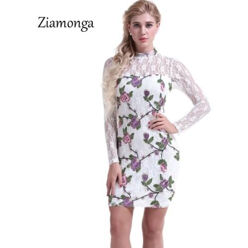Ziamonga Lace Dress Women 2018 Autumn Long Sleeve Embroidery Floral Lace Party Dresses Vestido De Renda Ropa Mujer Office Dress