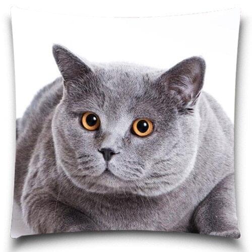 Grey cat bright eyes Cushion Cover Polyester Cotton Chair Seat Waist Square Decorative Pillow Case