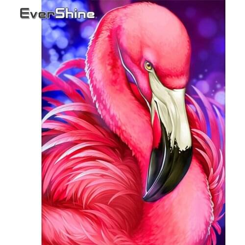 EverShine 5D DIY Diamond Painting Cartoon Full Drill Square Diamond Embroidery Animals Mosaic Rhinestones Bird Wall Decor