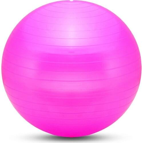 65CM Yoga Balls Sport Non-Slip Relax Muscle Pilates Exercise Balance Stability Ball Gym Fitness Workout Massage Ball