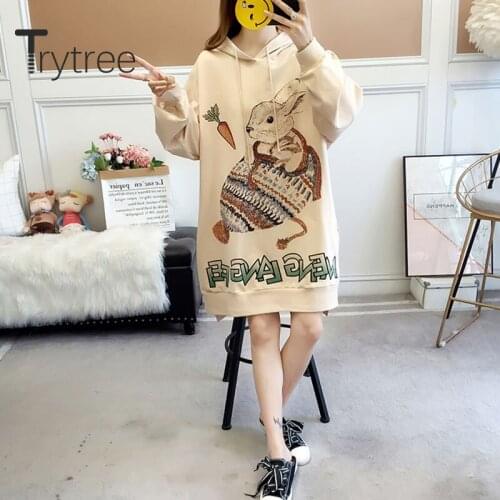 Trytree 2020 Autumn Winter Woman Casual Sweatshirt Hooded Cartoons Loose 4 Color Fashion All-Purpose Style Long Sweatshirt Tops
