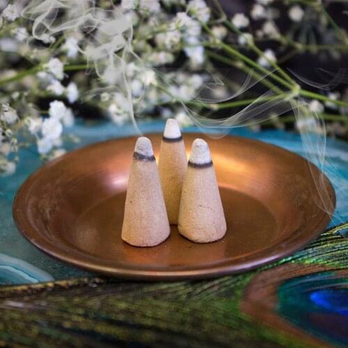 10pcs Holy Wood Sage Incense Cone Shape Flavor Incense Home Fragrance Meditation Natural Scent Aroma for Bedoom Fresh Air