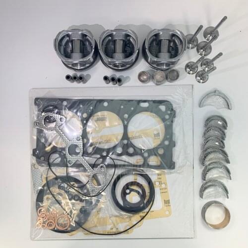 NEW KUBOTA D902 OVERHAUL KIT STANDART