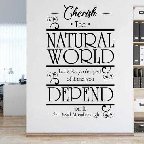 Cherish The Natural World Quote Wall Sticker because you're part of it and you depend on it David Attenborough Art Decal DG228