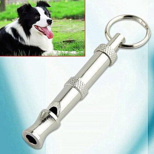 New Pet Dog Ultrasound Whistle Two-tone Ultrasonic Flute Stop Barking Ultrasonic Sound Repeller Cat Training