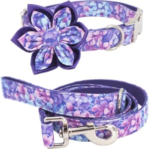 Purple Magic girl dog collar dog flower and leash set for pet dog cat with rose gold metal buckle