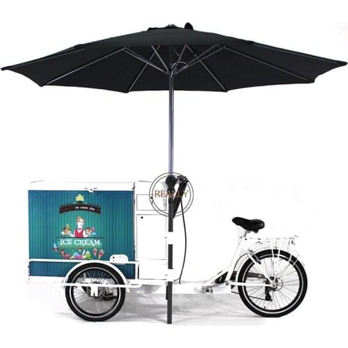 Adult Freezer Tricycle Electric Ice Cream Bike Mobile Cold Drink Food Cart for Sale