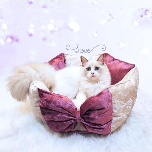 Soft Crystal Velvet Pet Dog Cat Bed Warm Dot Bed House Plush Cozy Nest Mat Pad Princess Bows Elegant Lovely Bed