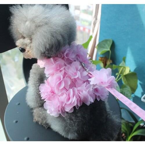 Pink Floral Girl Pet Harness Vest With Leash Set On Sale Clearance Dog Puppy Animal Cat Stock Collar Outdoor Walking Set Product