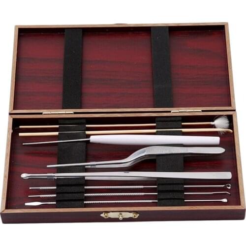 Red Ear Picking Set Professional Ear Picking Tools Ear Cleaning Goose Feather Stick Casual Elegance Retro Wooden Box Package