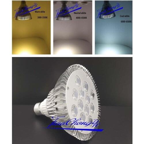 E27 PAR38 Par38-12x2 LED Indoor Flood Light Bulb Dimmable Warm white, white Lamp