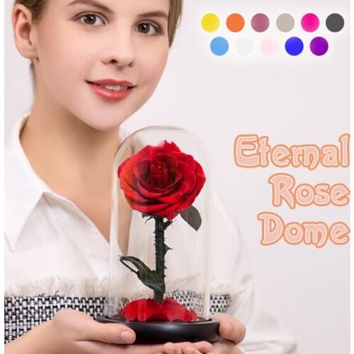 Beauty and The Beast Preserved Flowers Red Eternal Rose In Glass Dome Gifts for Wedding Birthday Valentine Christmas Anniversary