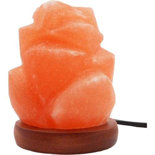 USB Salt LED Mini Himalayan Salt Night Light Rose Shape Wall Lamp Bedside Bedroom Home Decor Novelty Special Lighting Salt Lamp