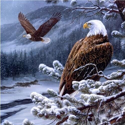 5D DIYFull Square Diamond Painting Animal Eagle Diamond Embroidery Mosaic Landscape Handmade Gift Winter Wall Art
