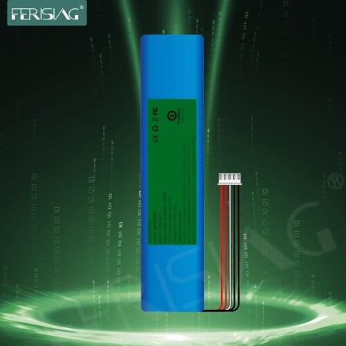 Ferising Battery Chargers