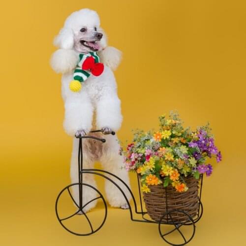 A Dogs Winter Warm Stripes Knitted Scarf Collar Puppy Teddy Costume Christmas Clothes Santa Dog Costume