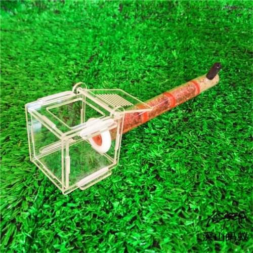 Test tube Moisture big space Ant Nest ,Ant Farm Acrylic, Insect ants Villa House Ants Ecological Workshop