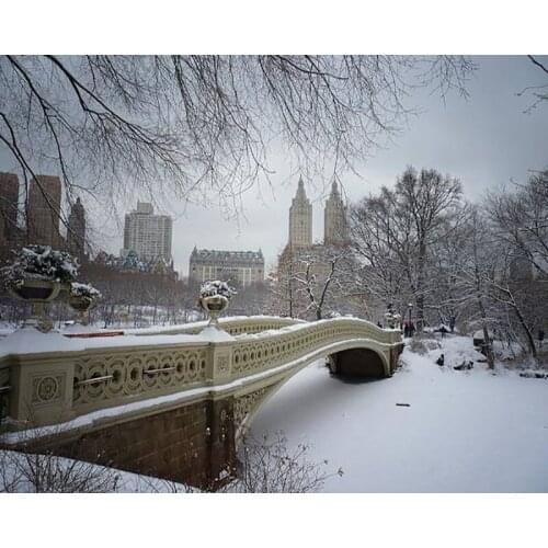 DIY Painting By Numbers Bow Bridge Central Park Kit Oil Picture By Numbers Winter Landscape Wall Art Painting Canvas Home Decor