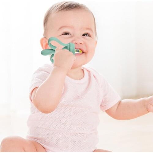 Baby Food Gum with Transparent Dust Cover, Ergonomic Double Handle for Fruits / Vegetables