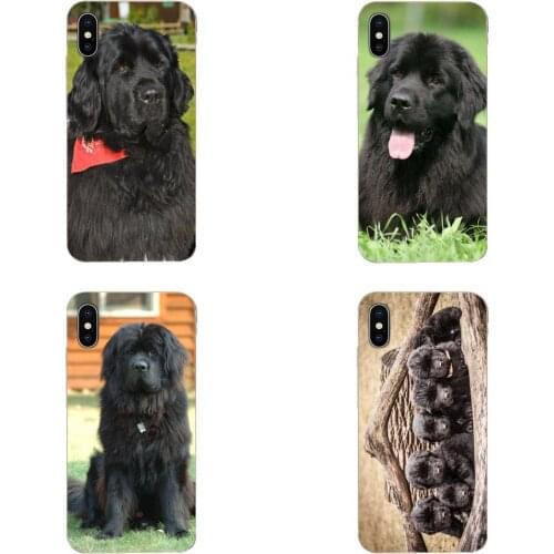 For iPhone SE2020 11 Plus Pro X XS Max XR 8 7 6S SE 4S 5 5C 5S Skin Pattern Newfoundland Dog Puppy