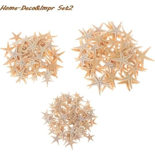 Hot Natural Starfish Sea Shells Mini Craft Decoration Seastars DIY Beach Cottage Wedding Decor Crafts Wedding 100pcs