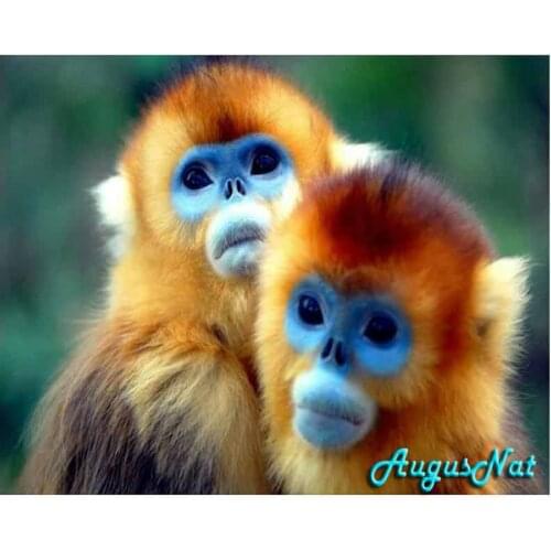 Monkey diamond painting full square animal lover wall art picture diy diamond dotz wedding decal diamond sticker mosaic drawing