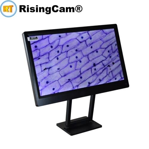 11.6inch HD 1080P LCD Displayer Monitor with HDMI-compatible port